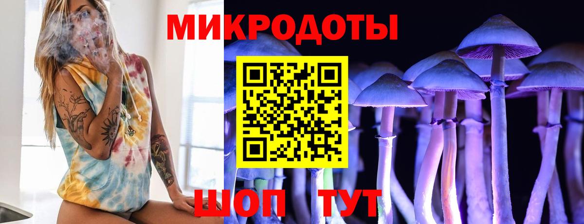 Псилоцибиновые грибы прущие грибы Дербент