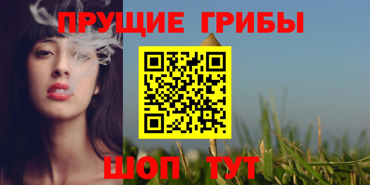 Дербент  Псилоцибиновые грибы прущие грибы  Вход с VPN 